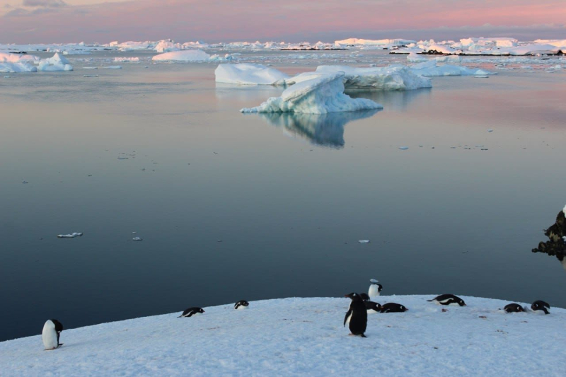 Ukrainian polar explorers showed white nights in Antarctica – photo