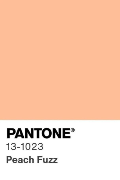 Pantone объявил главный цвет 2024 года – фото, видео