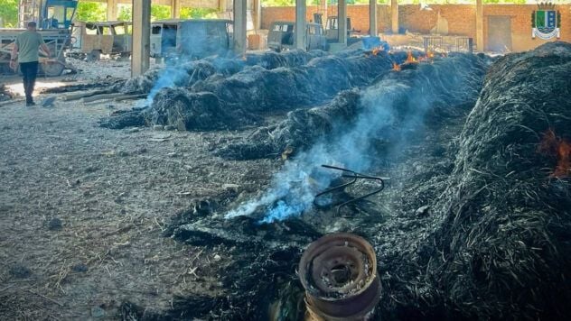 Drone attack on Vilkovo: consequences of the night strike on Odessa region on June 25