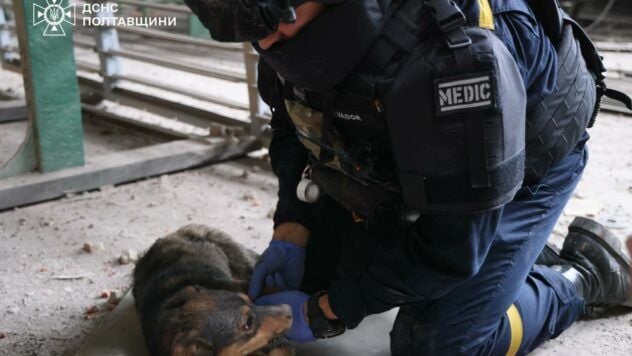 Dogs were stolen from Kremenchutsia