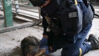 Dogs were stolen from Kremenchutsia