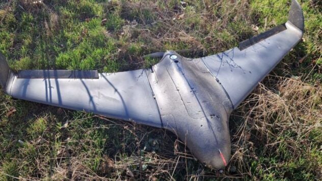 Drone Blueberry: characteristics and what is dangerous about the drone